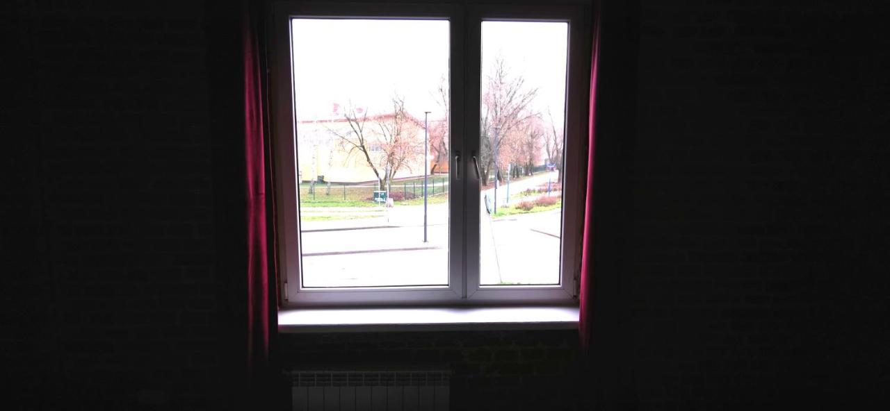 Niedzwiadek