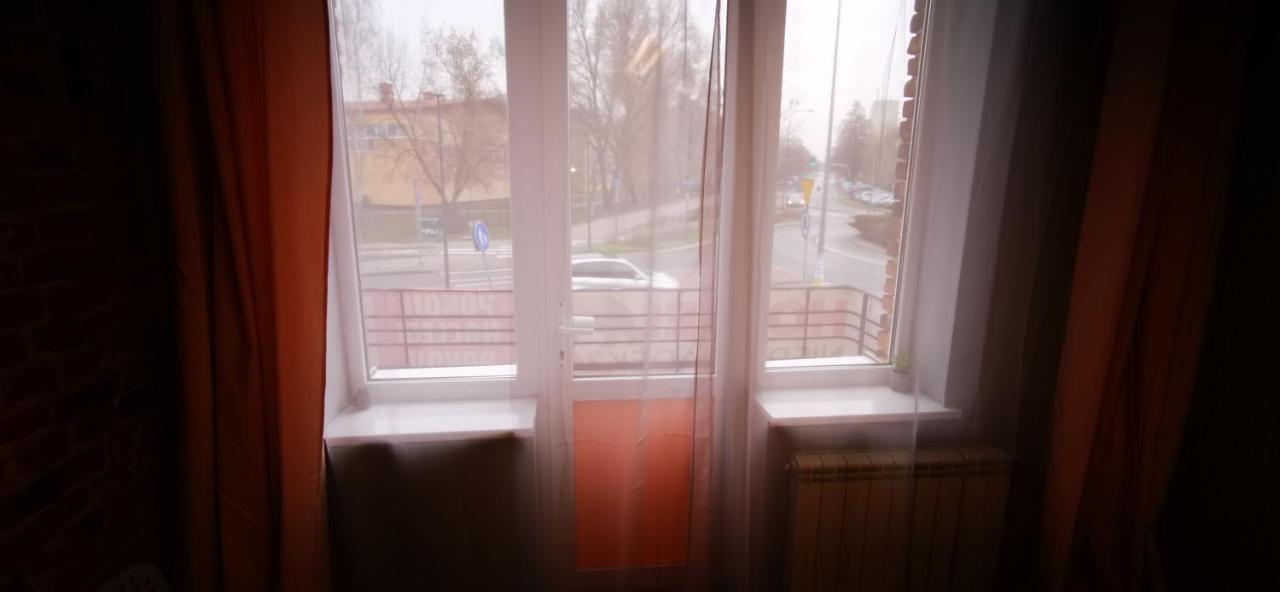Niedzwiadek Warszawa